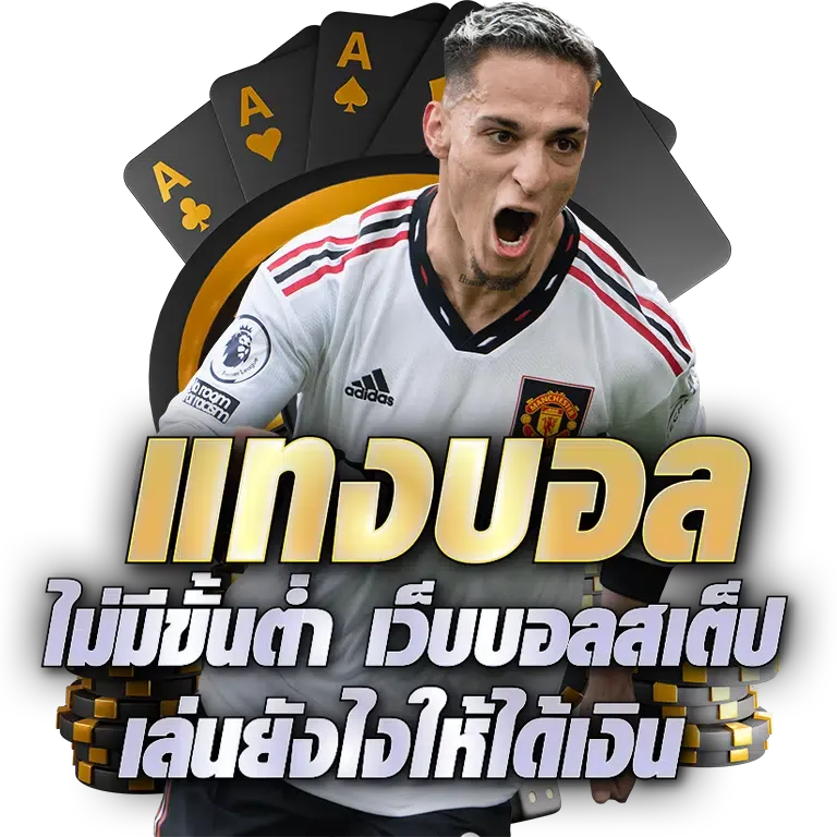 แทง บอล